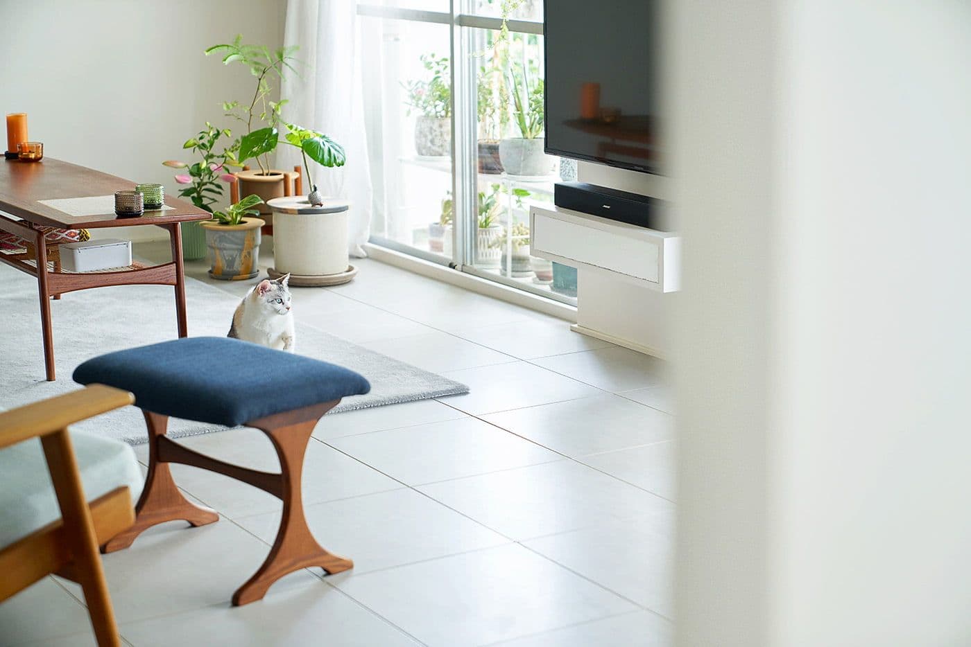 「賃貸vs購入」10年後に後悔しない家選びの結論とは?